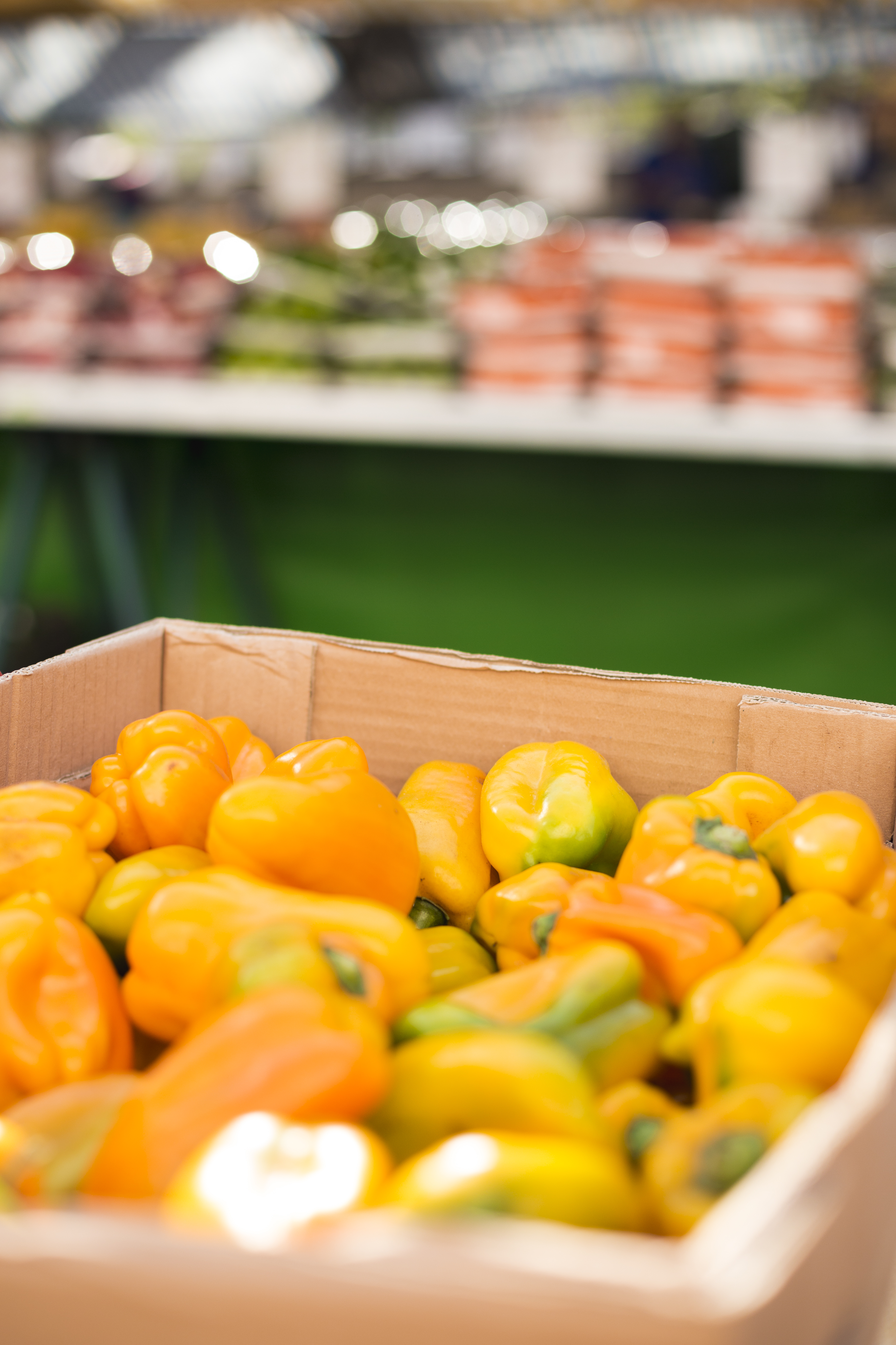 Caixote com pimentões amarelos frescos no galpão da Abençoados Hortifruti
